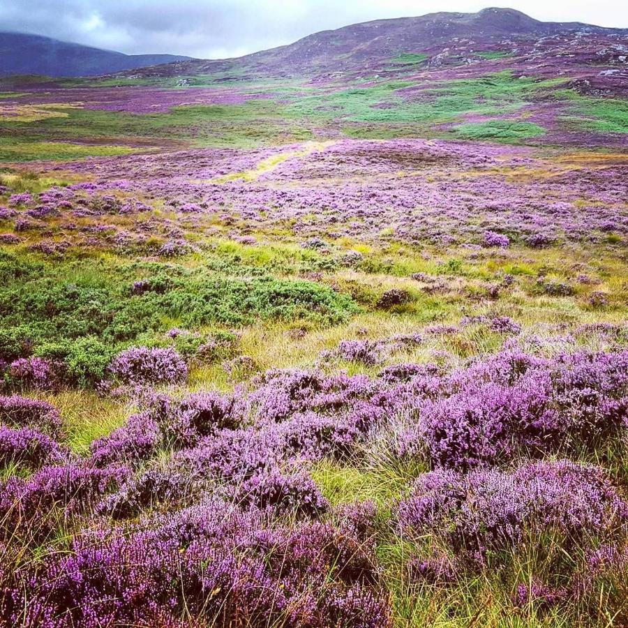 Baltinna East - By Where Stags Roar Newtonmore Extérieur photo